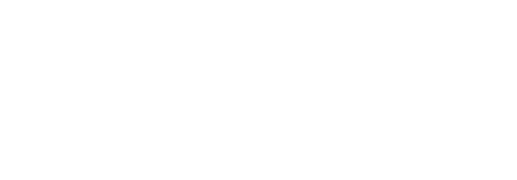 Temi Construction